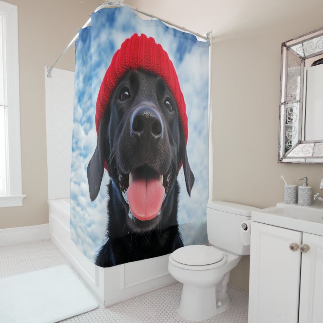 Happy Labrador in a Red Beanie Under a Blue Sky (In Situ)