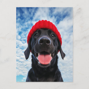Happy Labrador in a Red Beanie Under a Blue Sky Postcard