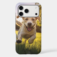 Happy Labrador Puppy Running
