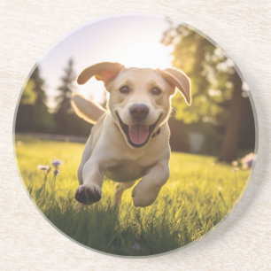 Happy Labrador Puppy Running Coaster