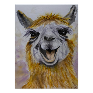 Happy Lama Poster