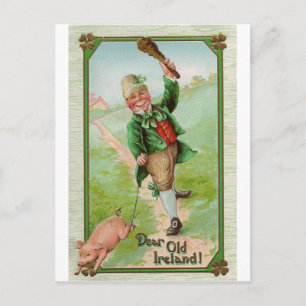 Happy Leprechaun Postcard