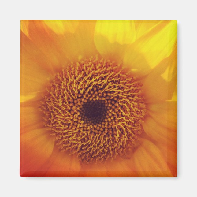 Happy Little Flower Magnet (Front)