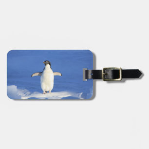 Happy Little Penguin Luggage Tag