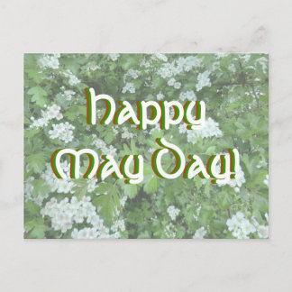 Happy May Day Postcard with Hawthorn Bloom