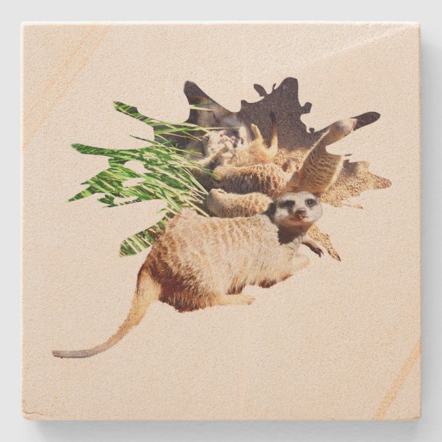 Happy Meerkat With Pups, Stone Coaster (Front)