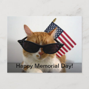 Happy Memorial Day Cool Cat with Flag Postcard