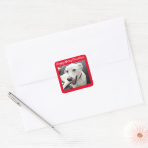 Happy Merry Christmas Funny Smiling Dog Holiday Square Sticker
