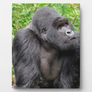 Happy Monkey Plaque
