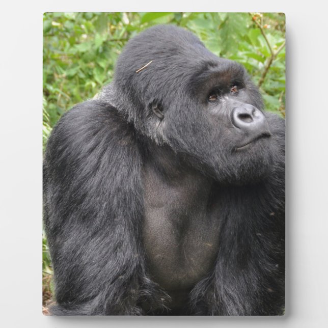 Happy Monkey Plaque (Front)