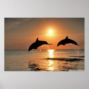 Happy Morning Wall Poster