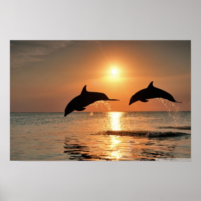 Happy Morning Wall Poster (Front)