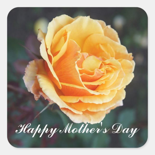 Happy Mother's Day About Face Rose #3 Stickers (Front)