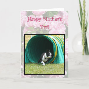 Happy Mother's Day Agility Boston Terrier card