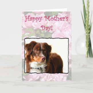 Happy Mother's Day Australian Shepherd card