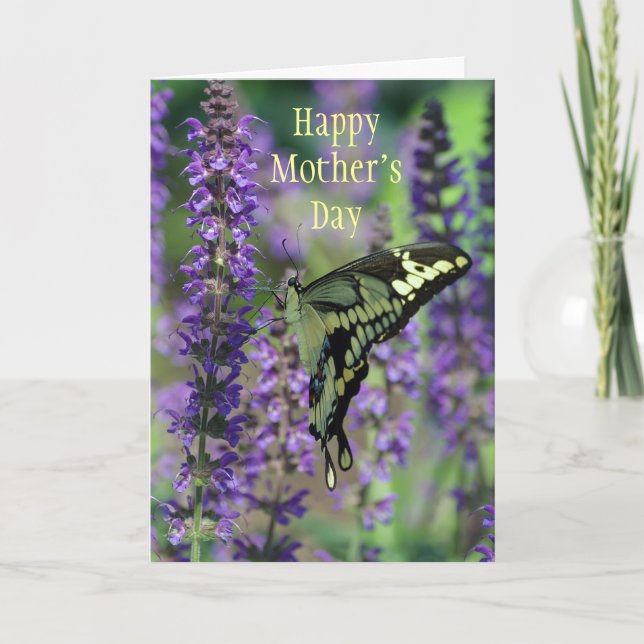 Happy Mother's Day ~ Bella Butterfly Card (Front)