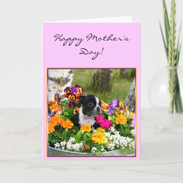 Happy Mother's day Boston Terrier greeting card (Front)