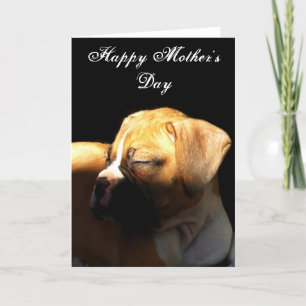 Happy Mother's Day Boxer greeting card