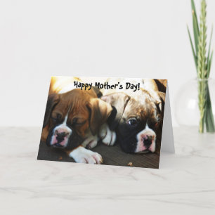 Happy Mother's Day Boxer puppies greeting card