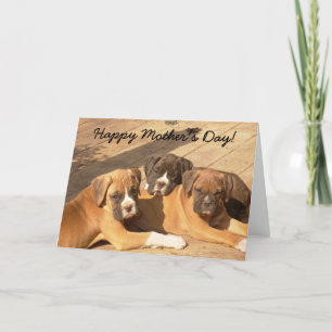 Happy Mother's Day Boxer puppies greeting card