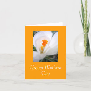 Happy Mothers Day Card