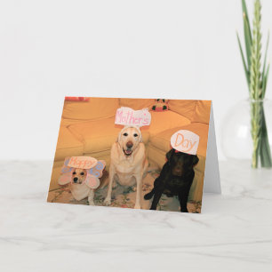 happy mother's Day Card