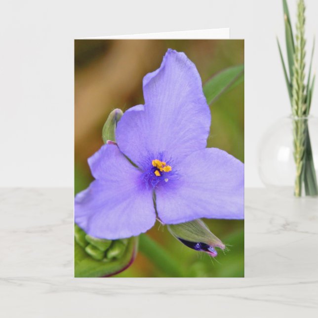 Happy Mother's Day! Card (Front)