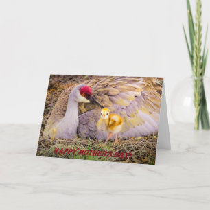 Happy Mother's Day! Card