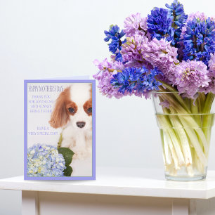 Happy Mother's Day Cavalier With Hydrangea Card