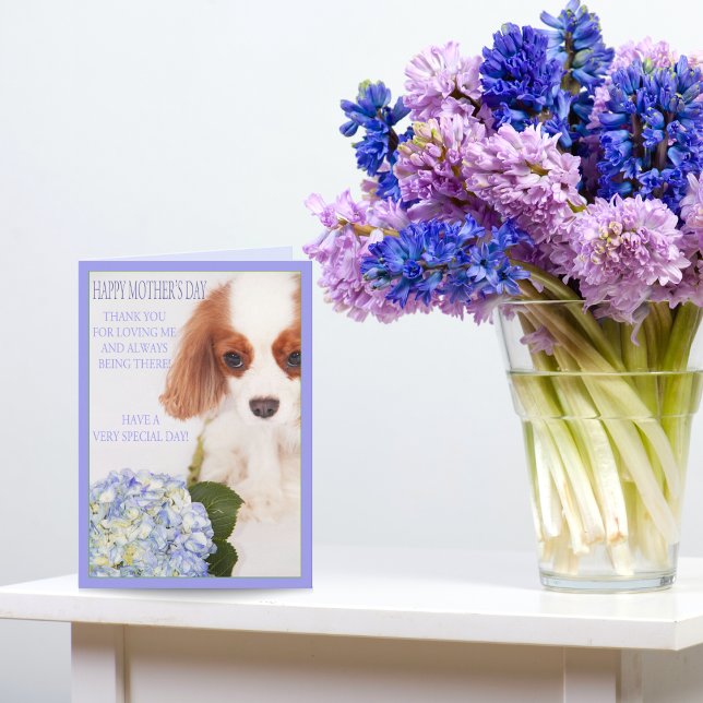 Happy Mother's Day Cavalier With Hydrangea Card (Creator Uploaded)