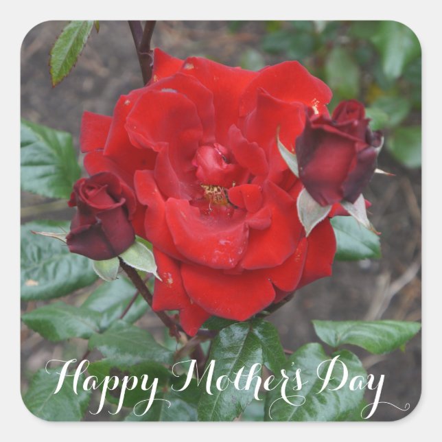 Happy Mother's Day Crimson Bouquet #1 Stickers (Front)