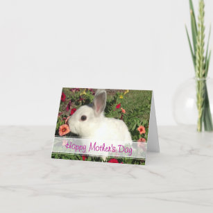Happy Mother's Day Cute Bunny Card