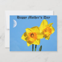 Happy Mother's Day Daffodils Gold Medal flowers 