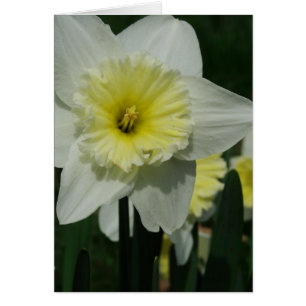 Happy Mother's Day Flower