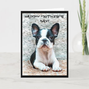 Happy Mother's Day French Bulldog greeting card
