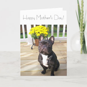 Happy Mother's Day French Bulldog w/Flowers Card
