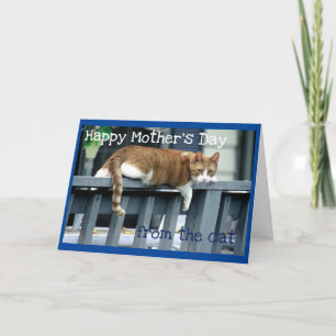 Happy Mother's Day from Cat Card