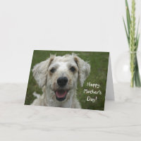 Happy Mother's Day from Dog