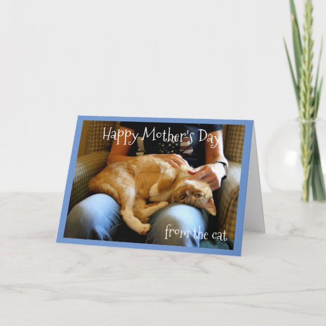 Happy Mother's Day from the Cat Card (Front)