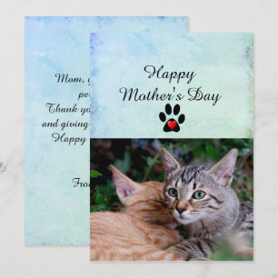 Happy Mother's Day From Your Cats Flat Card