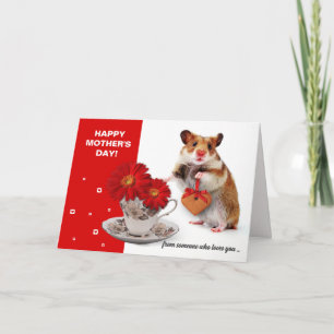 Happy Mother's Day. Funny Hamster Custom Card
