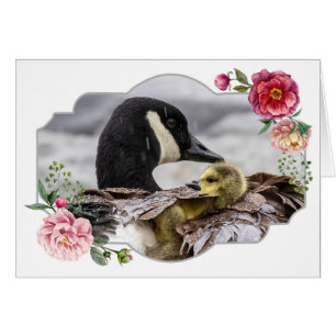 Happy Mother's Day, Geese