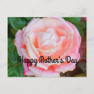 Happy Mother's Day Gemini Rose #1 Postcard