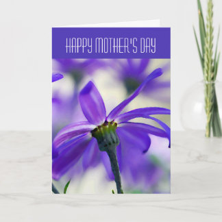 Happy Mother's Day - General - Purple Cineraria Card
