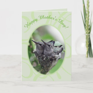 Happy Mother's Day | Hummingbirds in Nest Photo | Holiday Card