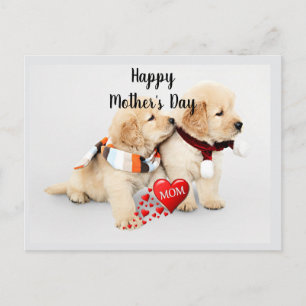 Happy Mother's Day--Love You Mom Holiday Postcard