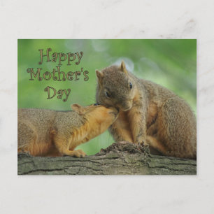 Happy Mother's Day - Mom and Baby Squirrel Postcard