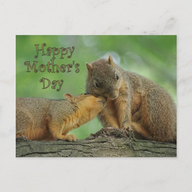 Happy Mother's Day - Mom and Baby Squirrel Postcard (Front)