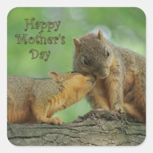 Happy Mother's Day - Mom and Baby Squirrel Square Sticker