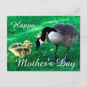 Happy Mother's Day - Mother Goose Postcard